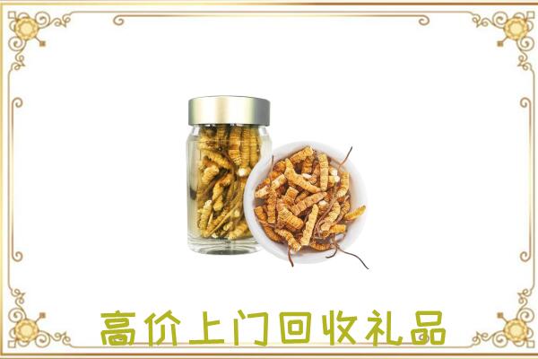 盐山周边回收虫草